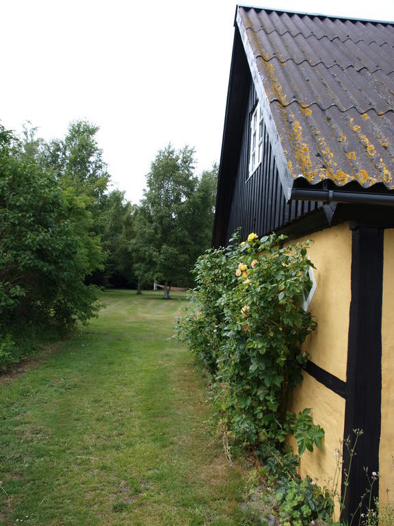 Faedrelandet Ferielejlighed & Turridning Laeso Esterno foto