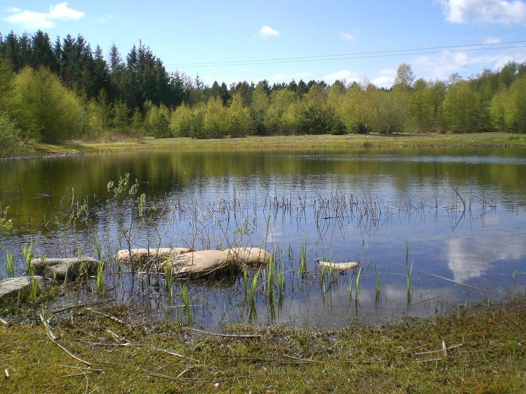 Faedrelandet Ferielejlighed & Turridning Laeso Esterno foto